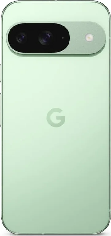 Смартфон Pixel 9 5G 12/256GB Wintergreen